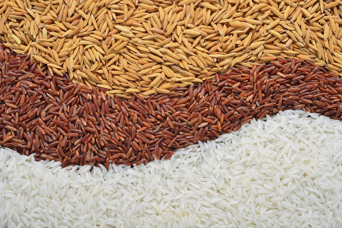 Miniket Rice vs Basmati Rice: Which One Should You Choose?